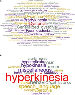 The visualization of Orphadata neurology phenotypes